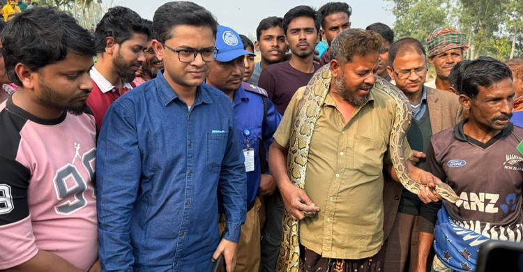 কুড়িগ্রামে ৯ ফুট লম্বা অজগর উদ্ধার