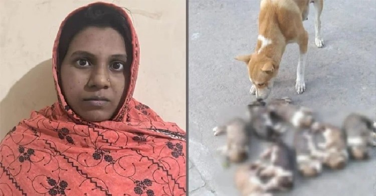পাবনায় ৮ কুকুরছানা হত্যা: গ্রেপ্তার সরকারি কর্মকর্তার স্ত্রী নিশি কারাগারে