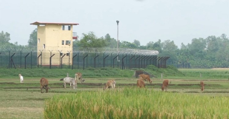 পঞ্চগড় সীমান্তে দুই বাংলাদেশি কিশোরকে ধরে নিয়ে গেছে বিএসএফ
