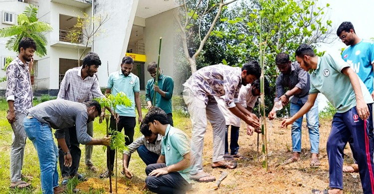 কুবি প্রেস ক্লাবের প্রতিষ্ঠাবার্ষিকী উপলক্ষে বৃক্ষরোপণ কর্মসূচি