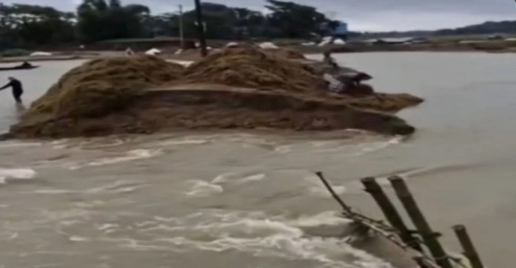 অতিবৃষ্টি ও পাহাড়ি ঢলে সুনামগঞ্জে দুটি বাঁধ ভেঙে ফসলহানি, হাওরে আতঙ্ক