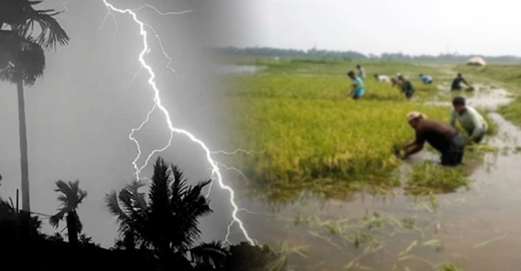 সারাদেশে বজ্রপাতে একদিনে ১২ জনের মৃত্যু, আহত অন্তত আরও ১২
