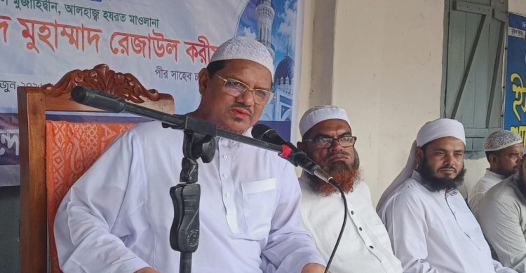 সীমান্তে ‘পুশইন’ আন্তর্জাতিক আইন ও মানবতার পরিপন্থী: চরমোনাই পীর