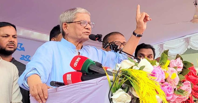 দেশে অস্থিতিশীল পরিস্থিতি সৃষ্টি করার চেষ্টা করা হচ্ছে: মির্জা ফখরুল