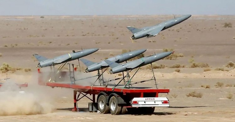 পাকিস্তানের সঙ্গে যুদ্ধে ব্যর্থতায় ৮৫০ কামিকাজি ড্রোন কিনছে ভারত