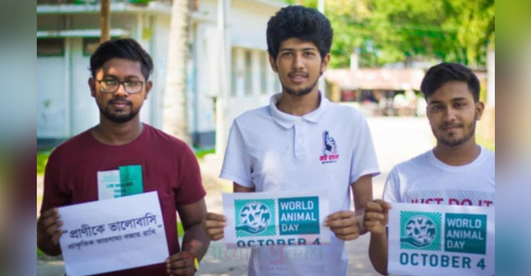 ডিজিটালের স্বপ্নবল্লভ ১৮ বছরের সোশ্যাল টেক উদ্ভাবক সাদাত রহমান