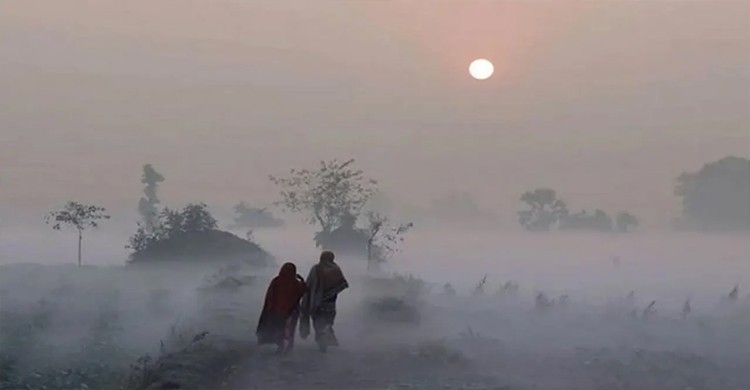 শীত কবে নামবে? জানালেন আবহাওয়াবিদরা