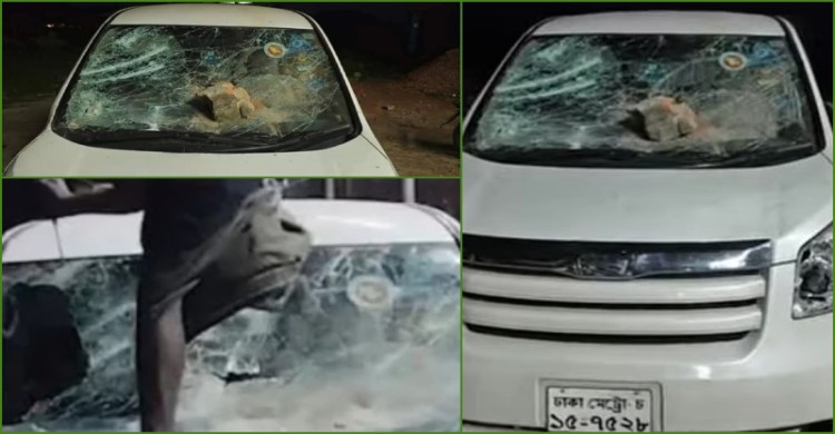 নেত্রকোনায় সংসদ সদস্যকে অবরুদ্ধ করে গাড়ি ভাঙচুর, যুবদলের ৯ কর্মী গ্রেপ্তার