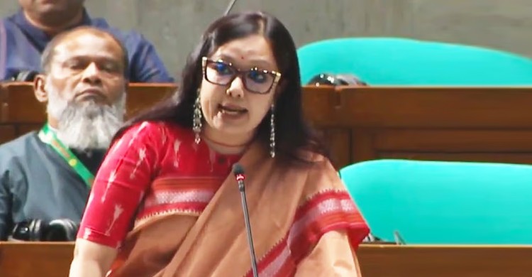 মবের শহরে পরিণত হয়েছে দেশ: সংসদে রুমিন ফারহানা