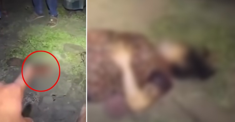 টাঙ্গাইলে মা ও নবজাতকের গলিত মরদেহ উদ্ধার, ভাইরাল সেই ভিডিও নিয়ে যা জানালো পুলিশ