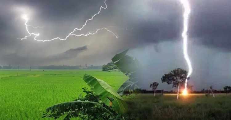 বৃষ্টি নামতেই বজ্রপাতের তাণ্ডব, একদিনে অন্তত ১৪ জনের মৃত্যু