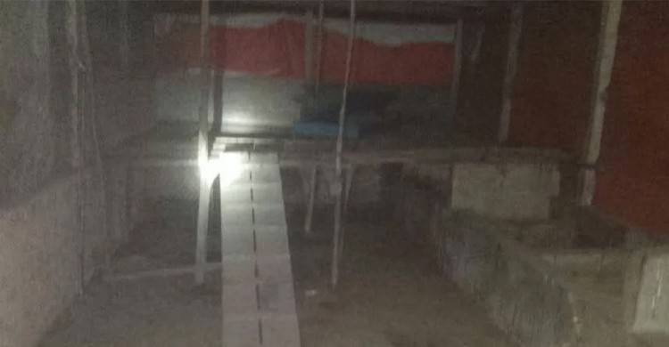 কর্মচারীকে অস্ত্রের মুখে জিম্মি করে জামায়াত নেতার খামার থেকে ৪০টি ছাগল লুট