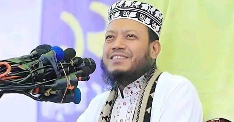 আমির হামজার বছরে আয় ৯ লাখ, ধার-দানে নির্বাচনে ব্যয় করবেন ৩৮ লাখ