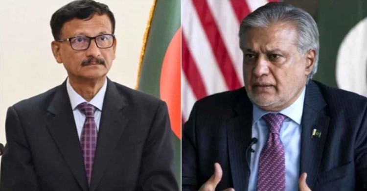 তৌহিদ হোসেনের সঙ্গে পাকিস্তানের পররাষ্ট্রমন্ত্রীর ফোনালাপ, যে কথা হলো