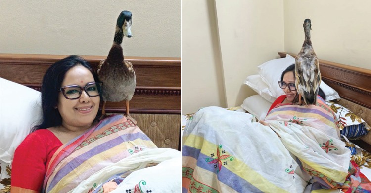 ব্রাহ্মণবাড়িয়া-২ আসনে হাঁস প্রতীক পেলেন রুমিন ফারহানা