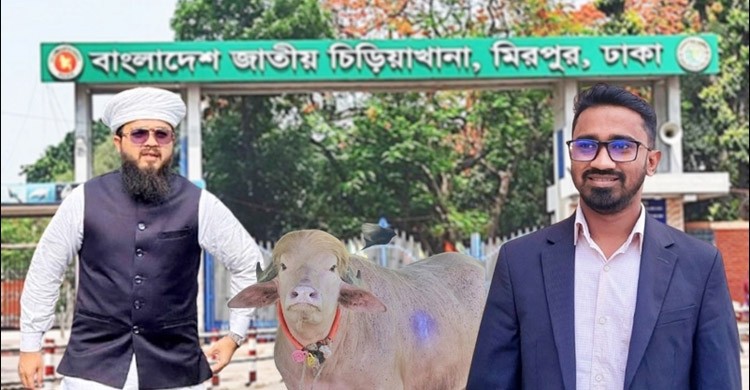 চিড়িয়াখানায় রাশেদ খাঁনকে রাখব ‘ডোনাল্ড ট্রাম্পের’ পাশে: হানজালা